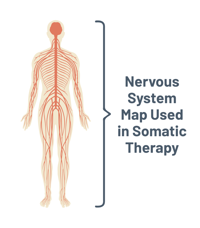 nervous system map used in somatic therapy